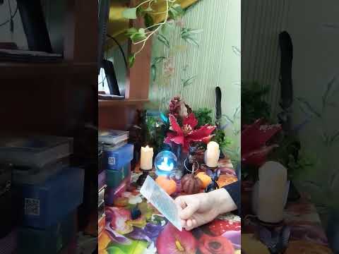 Видео: Кармические🌩️  задачи🪬, которые следует проработать для гармонизации жизни 🌀