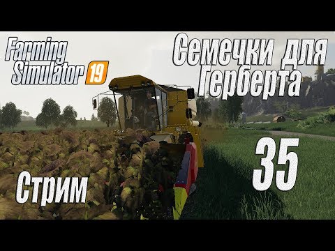 Видео: Farming Simulator 19, прохождение на русском, Фельсбрунн, #35 Стрим "Семечки для Герберта"