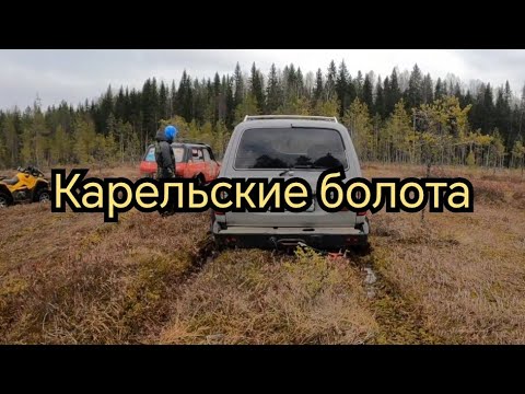 Видео: Toyota Land Cruiser 80 & Нивы, через торфяные лужи к ковровым болотам. Offroad.