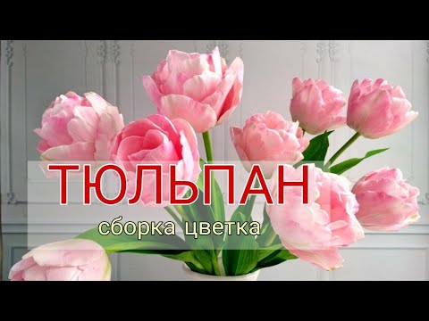 Видео: МК тюльпан из фоамирана как собрать цветок