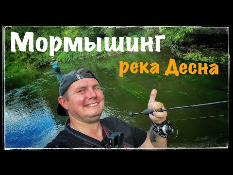 Видео: Мормышинг ! Река Десна ! Мормышинг на течении ! Охота на ельца …