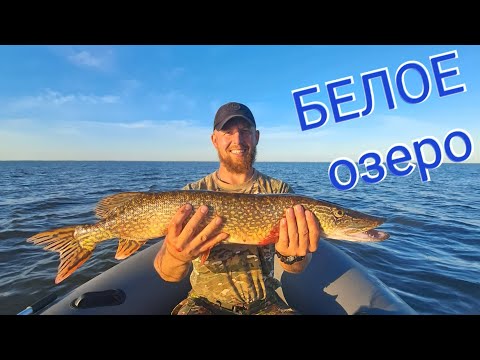 Видео: БЕЛОЕ ОЗЕРО ВОЛОГОДСКОЙ ОБЛАСТИ. ЧТО ЗА ВОДОЕМ? ЕСТЬ ТУТ РЫБА?