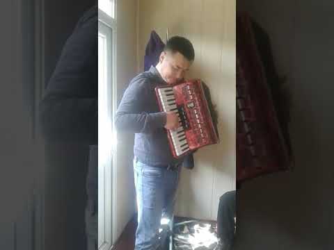 Видео: Аккордеон Алмаз