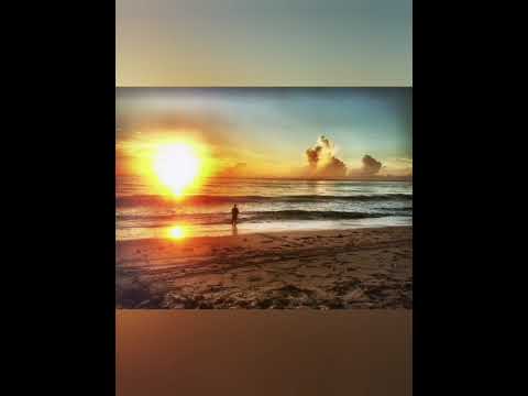 Видео: О новом дне