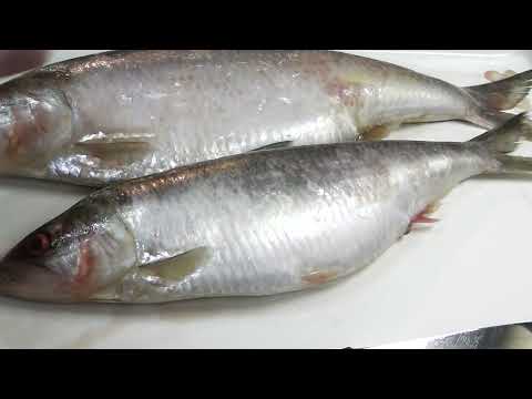 Видео: Каспийская селедка Залом! Хе - это деликатес.
