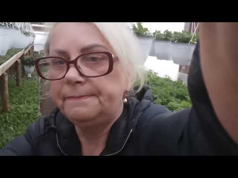 Видео: Полив, подкормка, чем и когда поливаю.