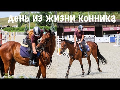 Видео: VLOG: День на конюшне!Как проходит моя тренировка?/Equestrian blog 🦄!