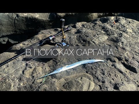 Видео: В ПОИСКАХ САРГАНА | РЫБАЛКА В СОЧИ 