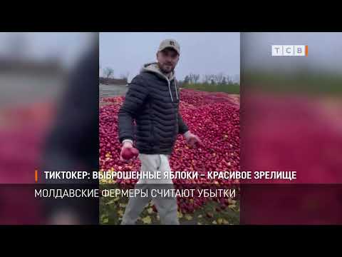 Видео: Тиктокер: выброшенные яблоки – красивое зрелище
