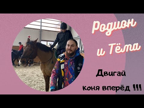 Видео: Хороший конь , не хочет двигаться