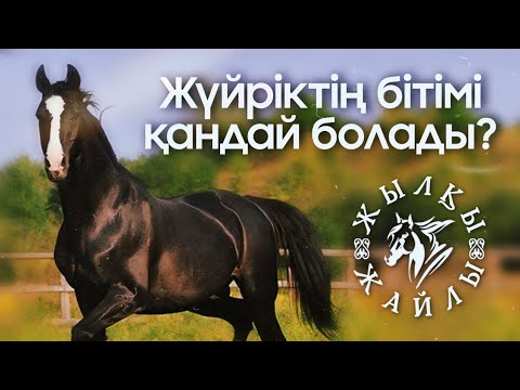 Видео: Жүйрік Жылқы Қандай Болады❓🐎 - Жылқы Жайлы