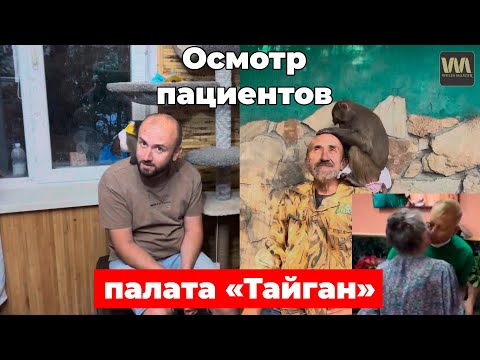 Видео: Плановый осмотр пациентов из палаты "парк Тайган", 9 сентября