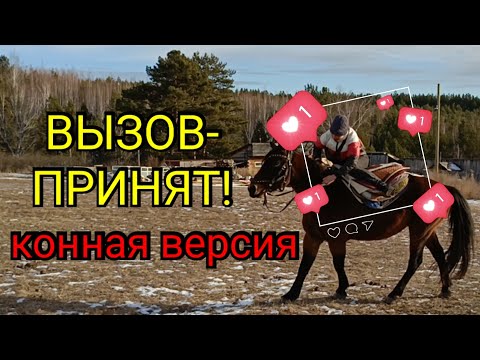 Видео: ВЫЗОВ-ПРИНЯТ/КОННАЯ ВЕРСИЯ 🐴♥️