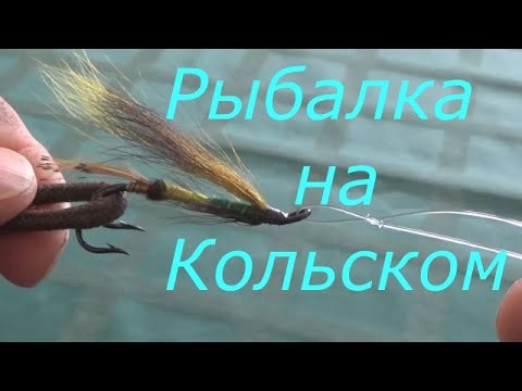 Видео: Рыбалка на Кольском . Три способа привязать мушку .