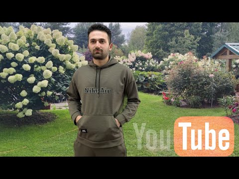 Видео: Гортензия Метельчатая￼￼￼ ￼Древовидная и Крупнолистная ￼, Посадка и уход