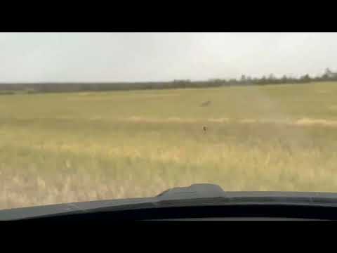 Видео: Бронза ( Одиночка)