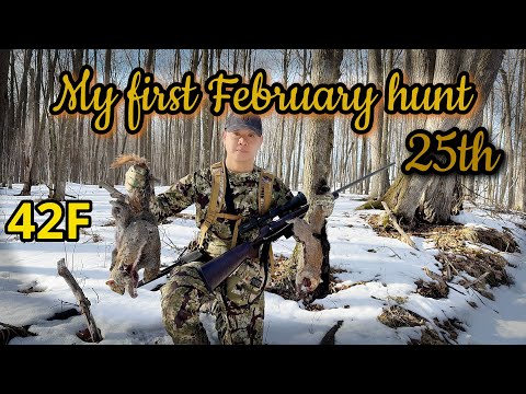 Видео: CZ457 22 | tua nas | охота на белку | предпоследняя охота сезона 24/25 | охота на белку