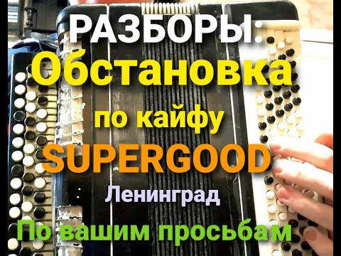 Видео: Обстановка по кайфу и Ленинград Supergood разборы на баяне