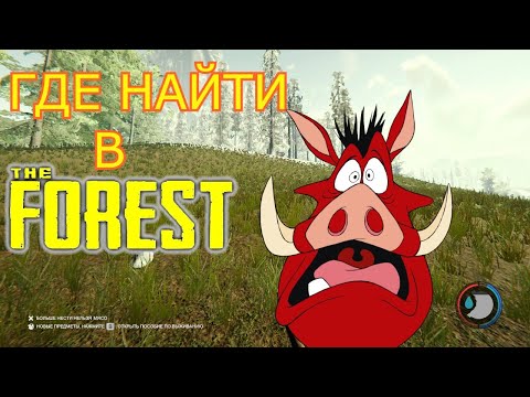 Видео: ГДЕ НАЙТИ В THE FOREST | КАБАН