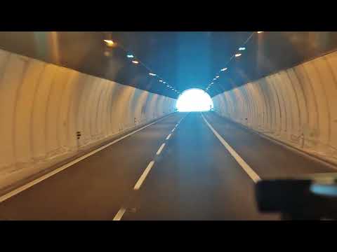 Видео: 20 октября 2025 г.