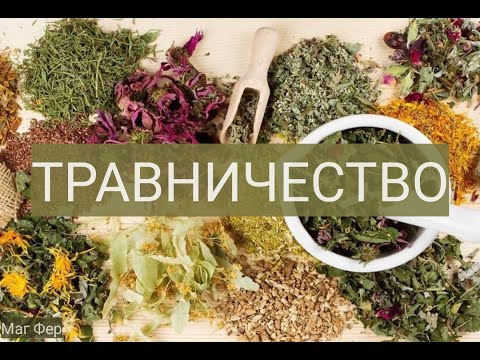 Видео: Травничество. Магическая специализация. Составление благовоний