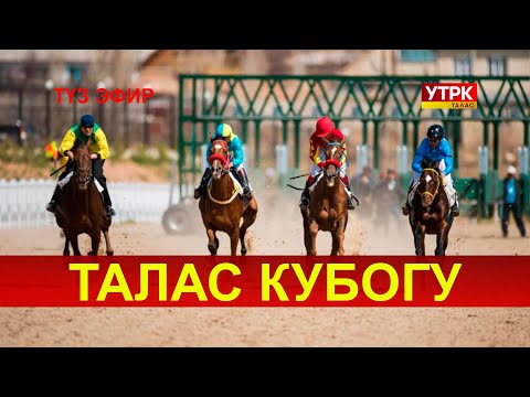 Видео: Талас кубогу 2025