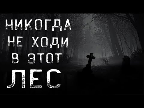 Видео: Никогда не ходи в этот лес. Страшные истории про лес. Истории на ночь. Мистика. Ужасы