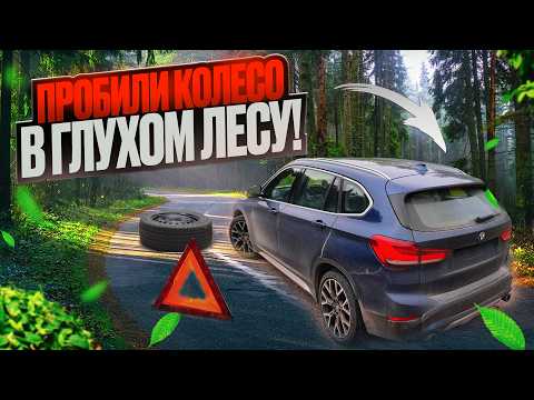 Видео: НОВОСИБИРСК/САНКТ-ПЕТЕРБУРГ. ПЕРЕГОН ИЗ ВЛАДИВОСТОКА! ЗАВЕРШАЮЩАЯ ЧАСТЬ!