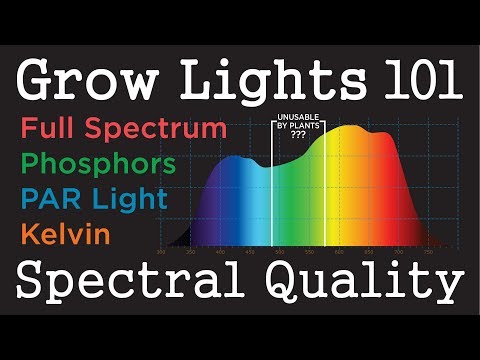 Видео: Светодиоды и лампы HID с качеством PAR: Основы освещения для растений - 101 (Используют ли растен...