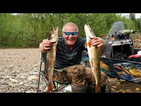Видео: БАТЯ ОПЯТЬ ВСЕХ ОБЛОВИЛ! Щука Язь и Таёжный Быт на Горной Реке