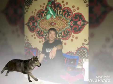 Видео: Жаныбек кашат