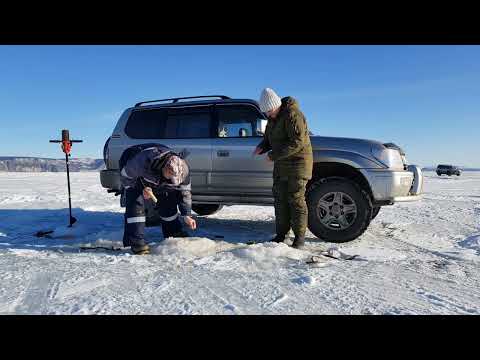 Видео: Продолжаем ловить крупную корюшку Магадан Зимняя рыбалка Корюшка