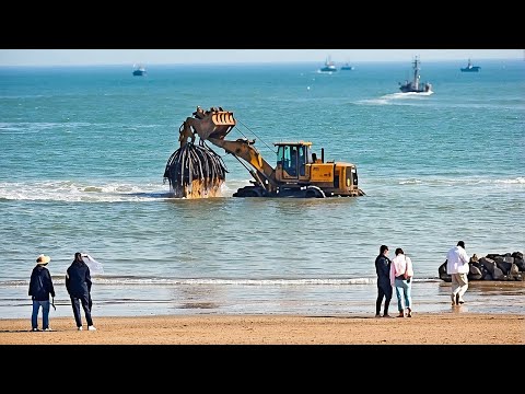 Видео: Невероятные Моменты, Снятые на Камеру