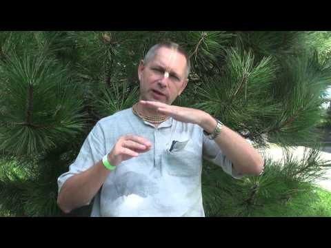 Видео: Интервью - 2011 - Что такое Бхагавад Гита?