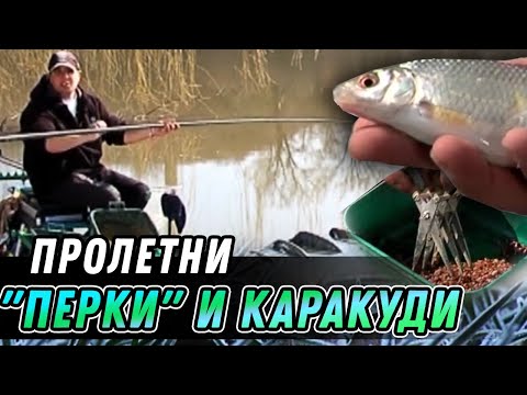 Видео: Пролетни "Перки" и каракуди край Пловдив /Такъми, монтажи и полезни съвети