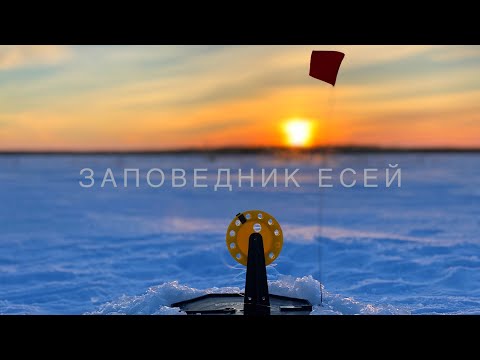 Видео: Рыбалка! Озеро Есей! Заповедник Казахстана! Наконец то я на рыбалке!!!