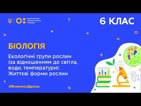 Видео: 6 клас. Біологія. Екологічні групи рослин. Життєві форми рослин (Тиж.5:ПН)