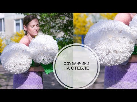 Видео: LARGE paper dandelions / БОЛЬШИЕ одуванчики из бумаги / DIY TSVORIC