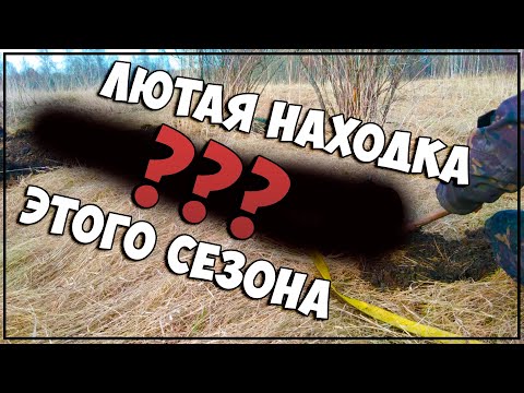 Видео: ТОННА ЧЕРНИНЫ ОДНОЙ НАХОДКОЙ В ПОЛЕ | Царский Металокоп 2022 В Поле