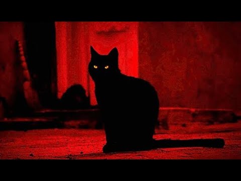 Видео: ВАША БЫВШАЯ ПОДРУГА... ХОЧЕТ ЛИ ОНА С ВАМИ ПОМИРИТЬСЯ?. (ТАЙМ-КОД ПОЗ. В ОПИСАНИИ).