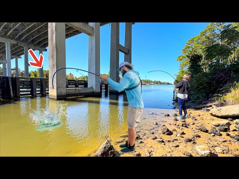 Видео: Прошёл под ОГРОМНЫМ мостом и поймал это! *Поймай и приготовь*