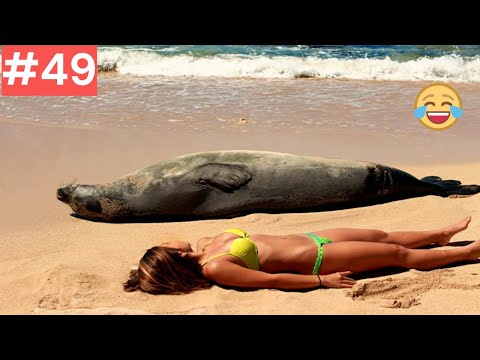 Видео: Я ржал до слез 😂 20 Минут смеха 2025 Смешные видео Приколы с животными!Подборка #49