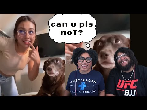 Видео: Ежедневная доза Интернета: серьезно ли это сейчас?