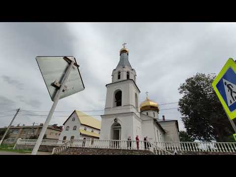 Видео: 19.08.24. Колокольный звон в Храме Николая Чудотворца в селе Мошенском Новгородской области