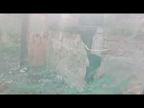 Видео: Изследвахме изоставено заведение.