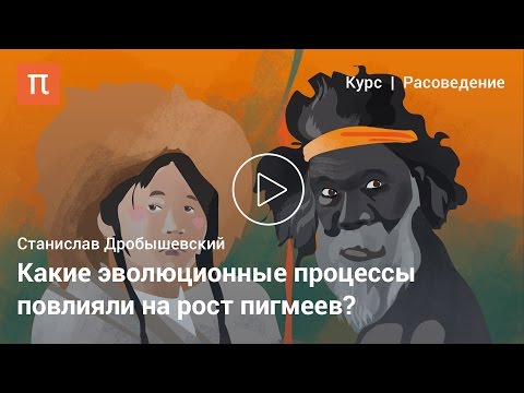 Видео: Пигмеи и бушмены — Станислав Дробышевский