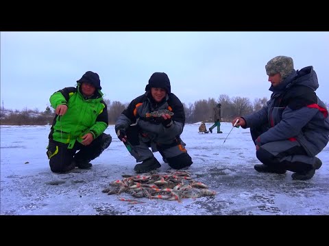 Видео: Рыбалка зимой от Михалыча. Ловля окуня со льда на Днепре