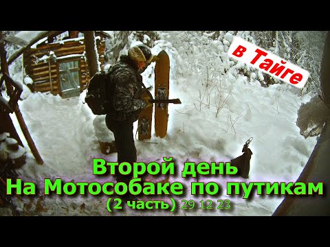 Видео: Второй день на мотособаке по путику (2 часть) 29 12 23