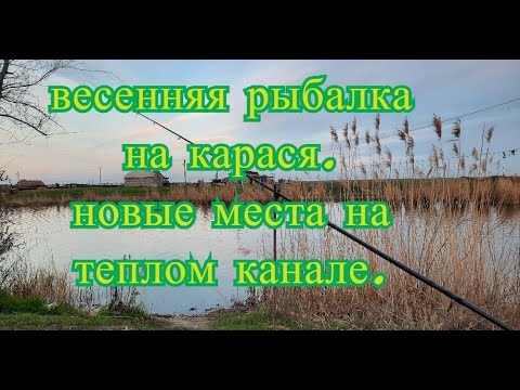 Видео: Весенняя рыбалка на карася. Новочеркасск, Кривянская, теплый канал.Поиск новых рыбальных мест.