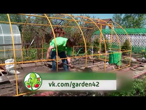 Видео: КОНСУЛЬТАНТ САДОВОДА 183